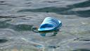 Chinese Man Survives Seven Days Adrift at Sea on Raw Crabs and Urine