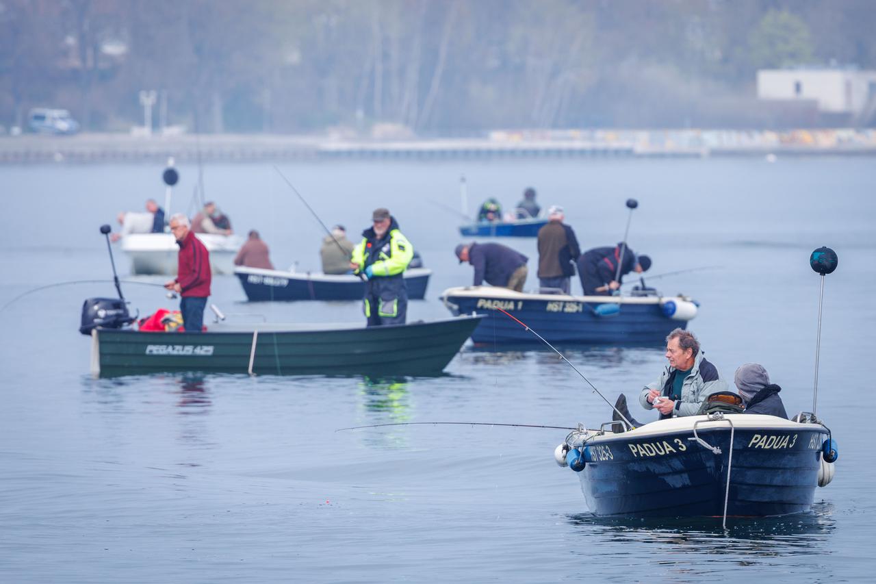 Herring fishing in the Strelasund