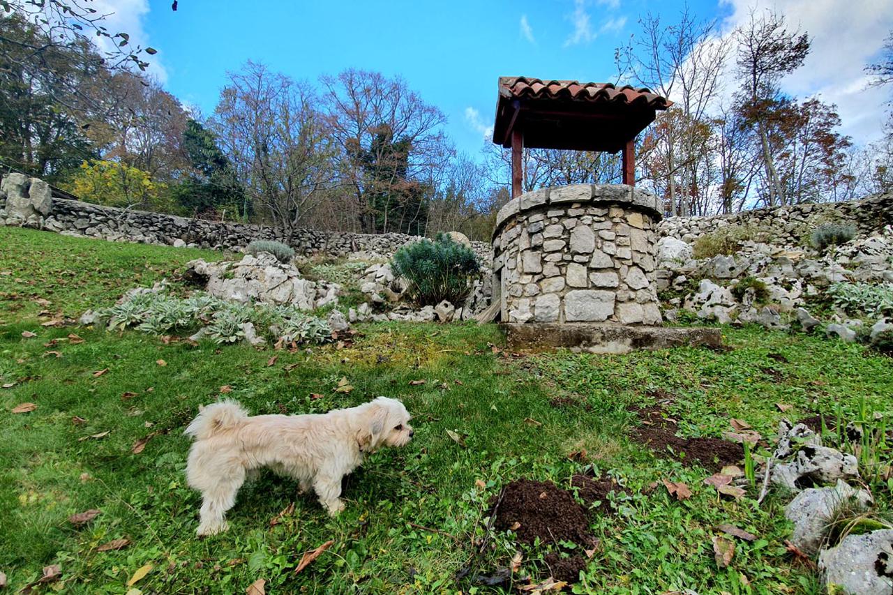 Čokolada od tartufa za osvajanje Ćićarije