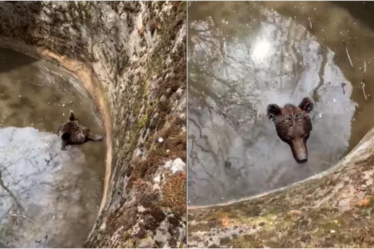 Medvjed upao u bunar