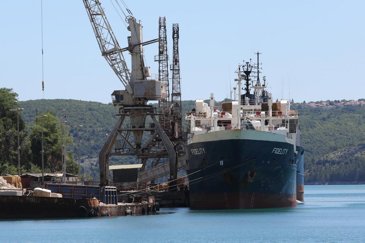 Ekološki incident