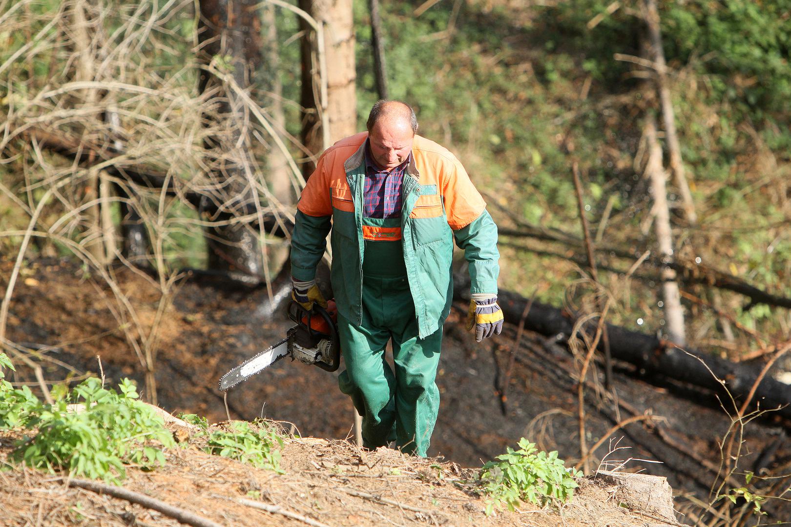 Posao šumskog sjekača također je među radnim mjestima s povećanim trajanjem staža. 12 mjeseci rada računa se kao 16 mjeseci staža. Za ovakav stupanj povećanja dobna granica za starosnu mirovinu snižava se za jednu godinu za svake četiri godine provedene na takvom poslu.
