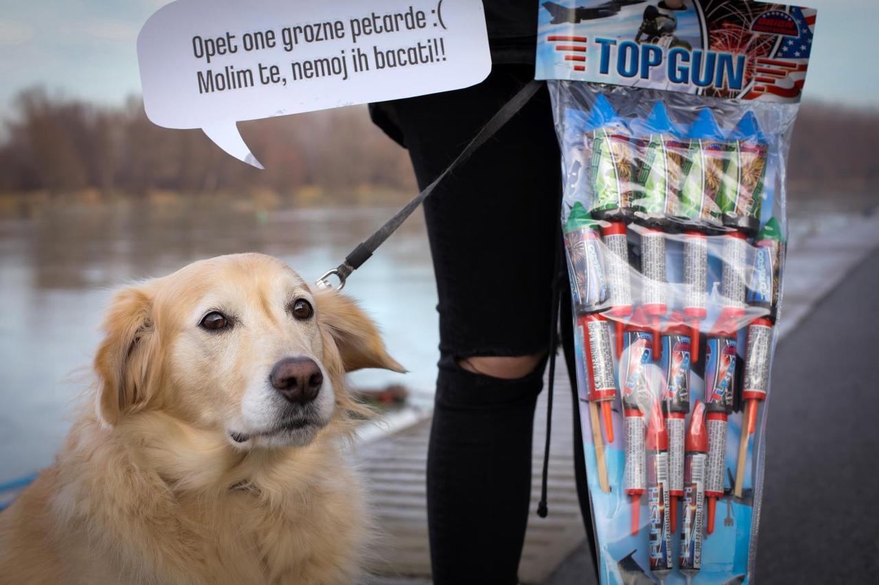 Osijek: Počinje sezona pirotehnike, najstresniji dio godine za kućne ljubimce