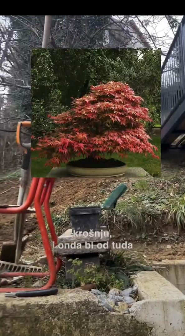 Ipak, veći dio vrta doživjet će potpunu transformaciju, s novim biljkama, uređenim stazama i stubama, a spominje se i plato za sunčanje.