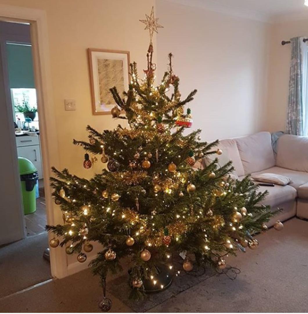 Jedna od najdražih "aktivnosti" mnogima je upravo ukrašavanje božićnog drvca, a posebno joj se vesele najmlađi članovi obitelji.