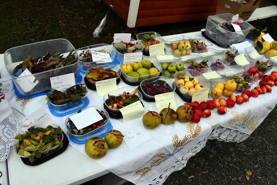 Cernik: Izložba plodova i prerađevina starih sorti voća i povrća "Sačuvajmo stare sorte"