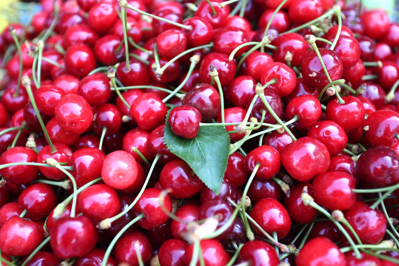 13.05.2015., Sibenik - Na sibensku trznicu stigle prve tresnje i to one najpoznatije iz Dubravica. Photo: Dusko Jaramaz/PIXSELL