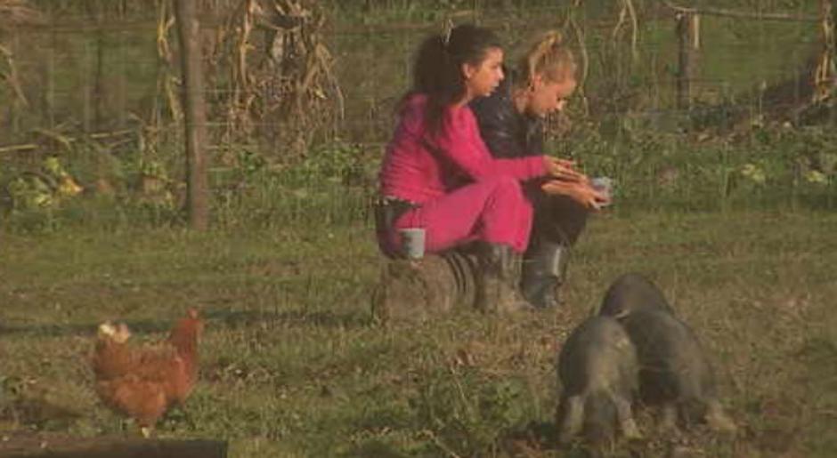 Farma, Anamarija i Josip