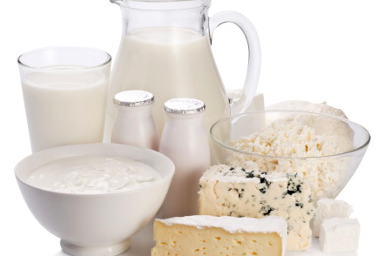 mlijeko, jogurt, vrhnje, sir, brie (1)