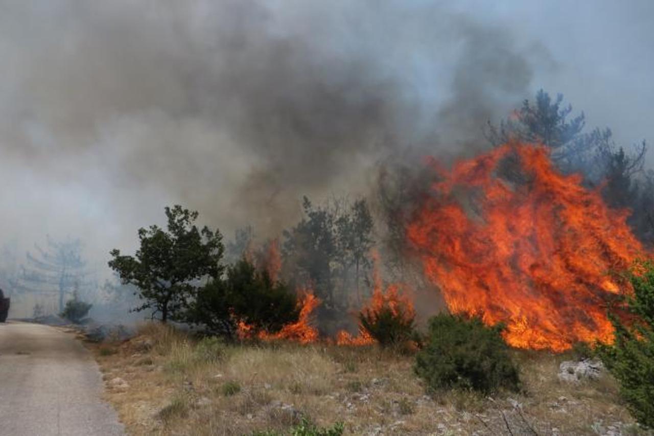 Ante Gotovina i Damir Krstičević