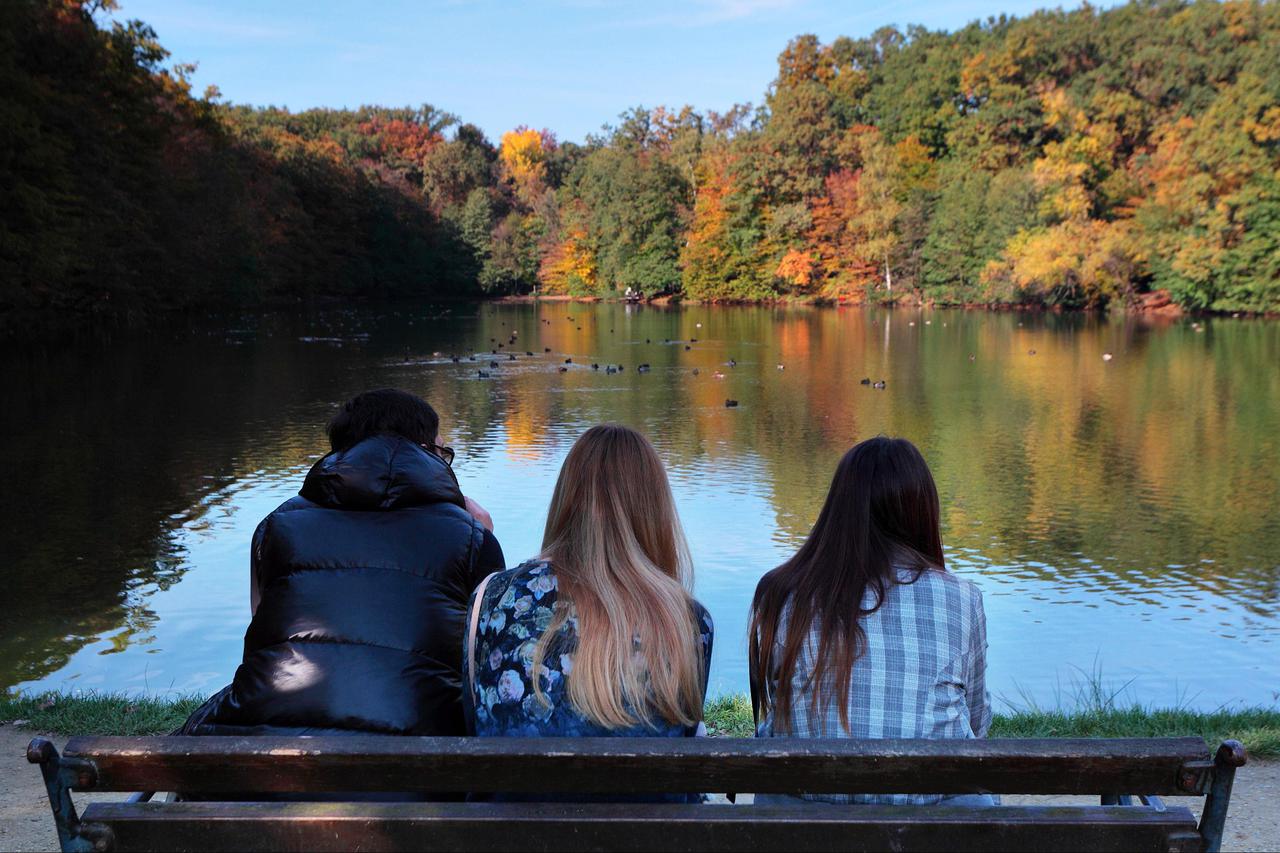 Maksimir