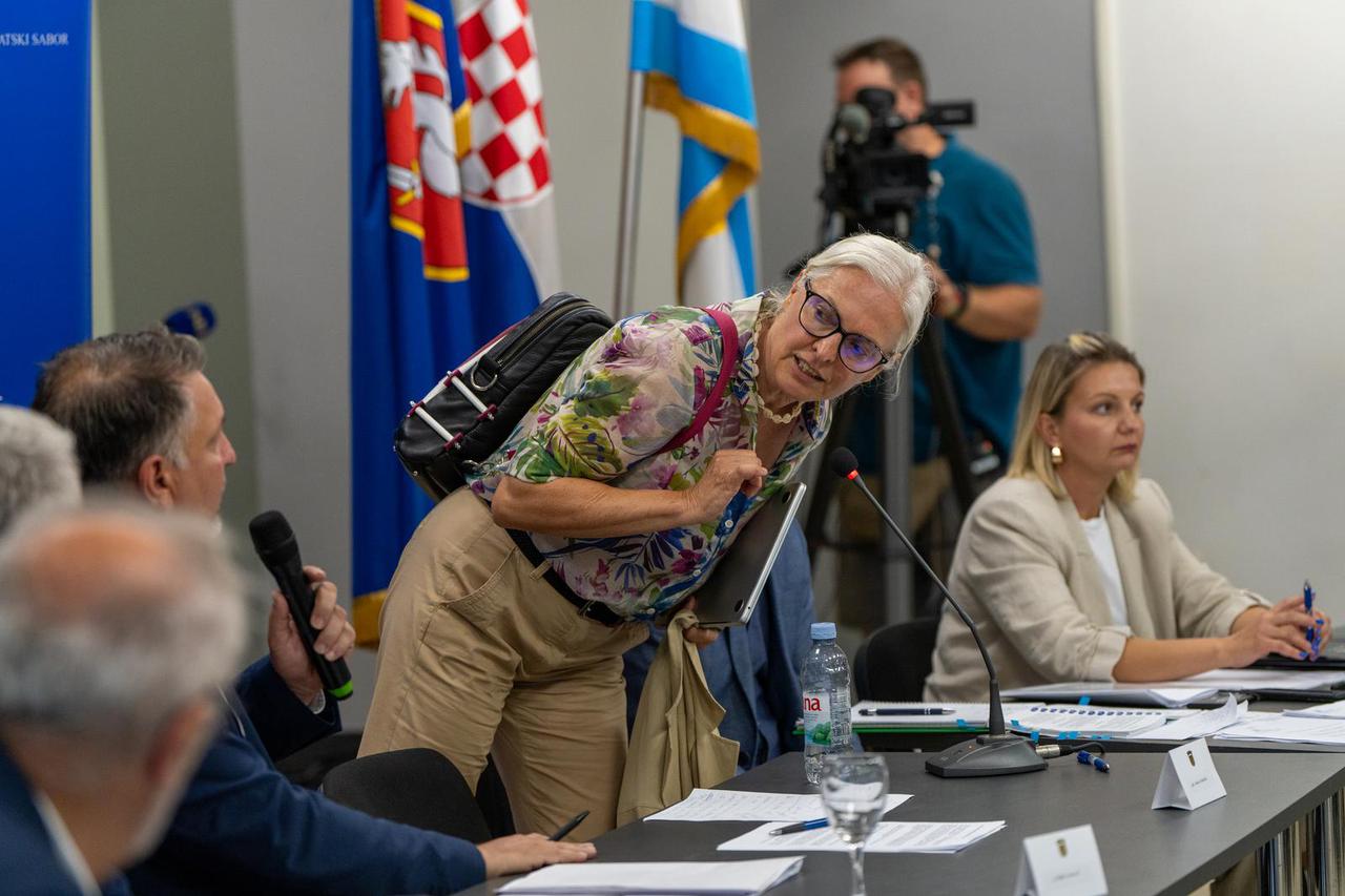Gospić: Dušica Radojčić napustila je sjednicu Odbora
