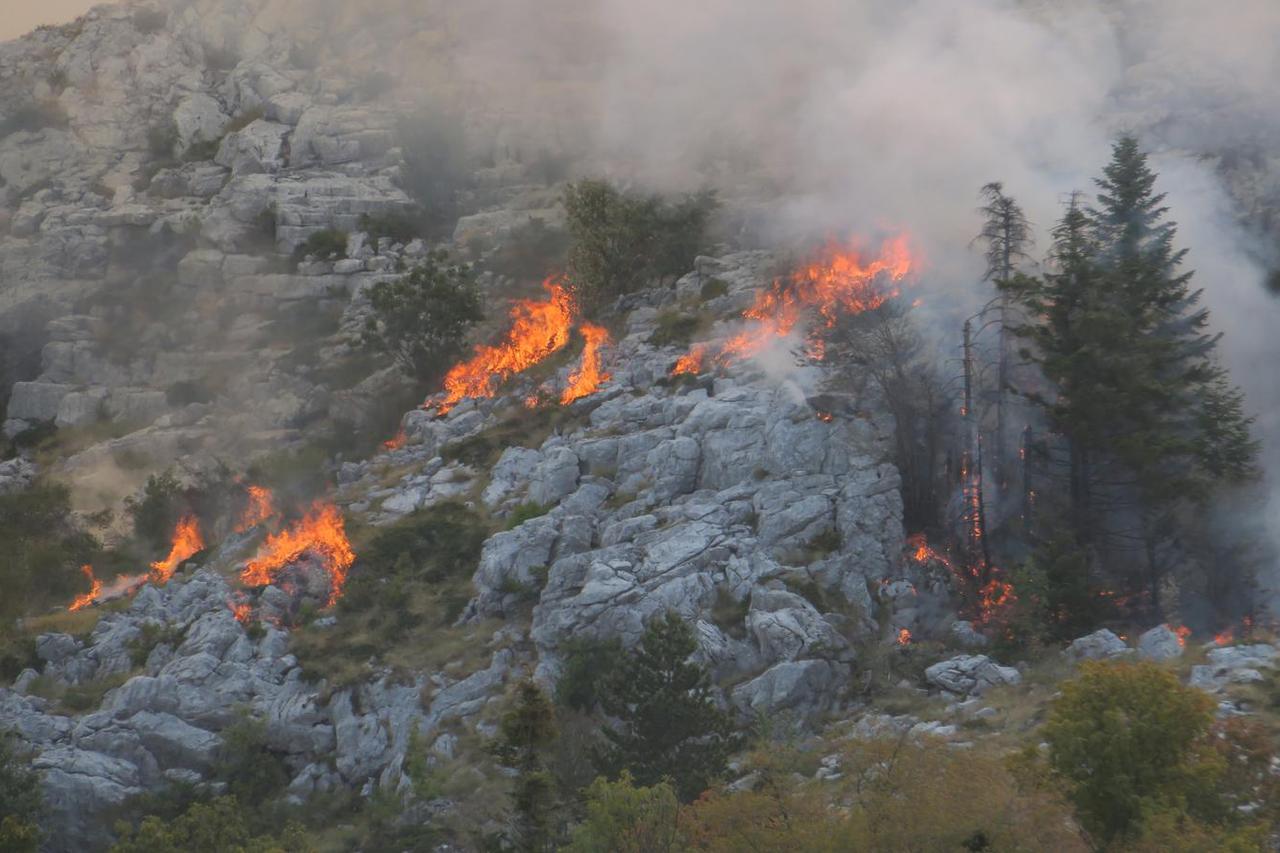 Vatrogasci i kanaderi spašavaju gustu jelovu šumu sa sjeverne strane Biokova