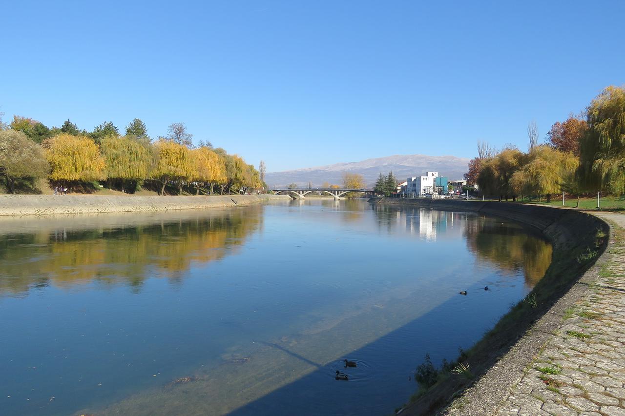 cetina