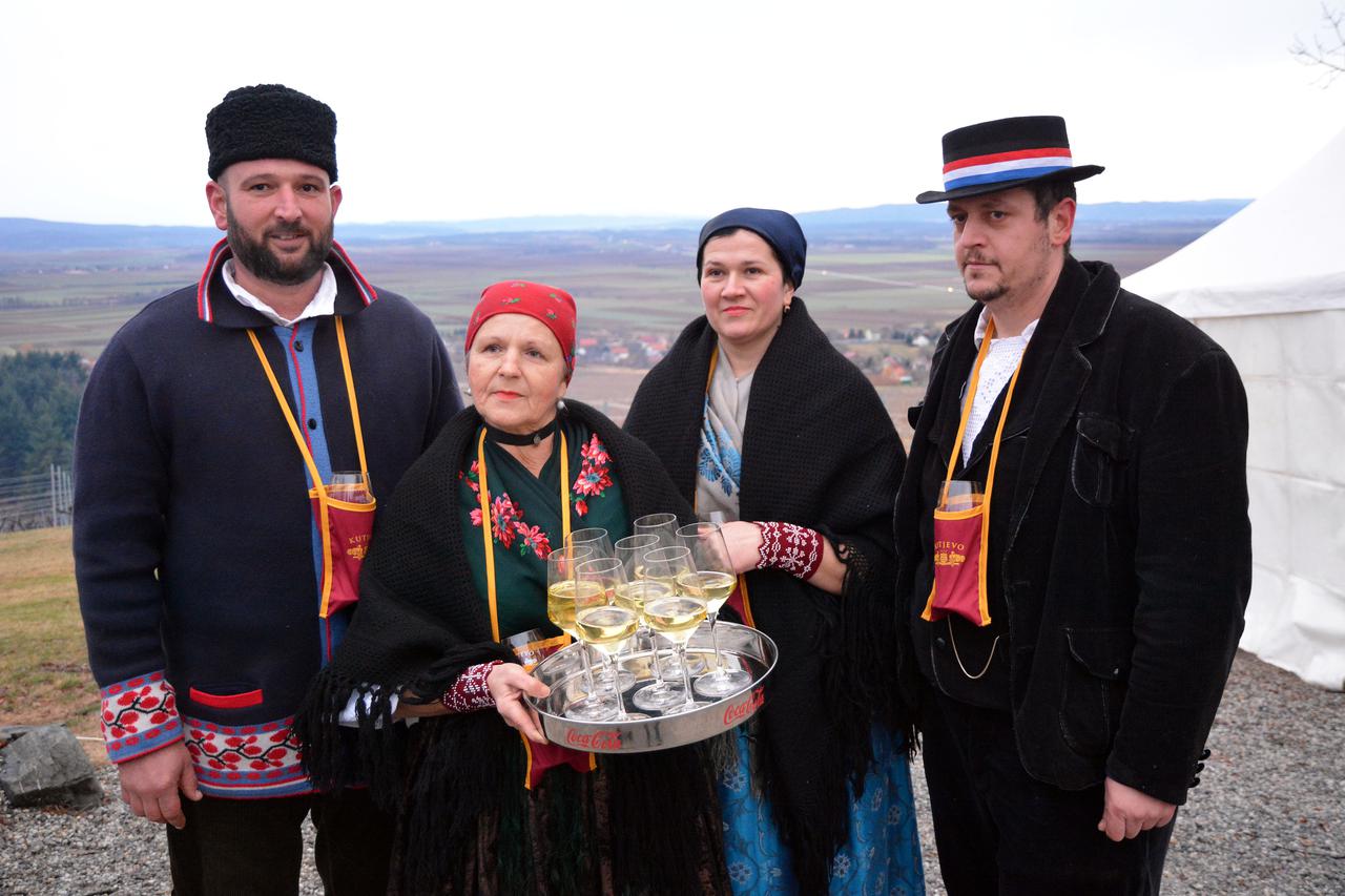 Orezani prvi trsovi vinove loze u Kutjevačkom vinogorju