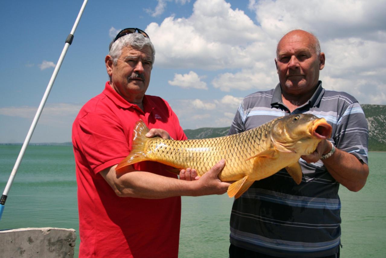 'saran3_frs_dal_200510'