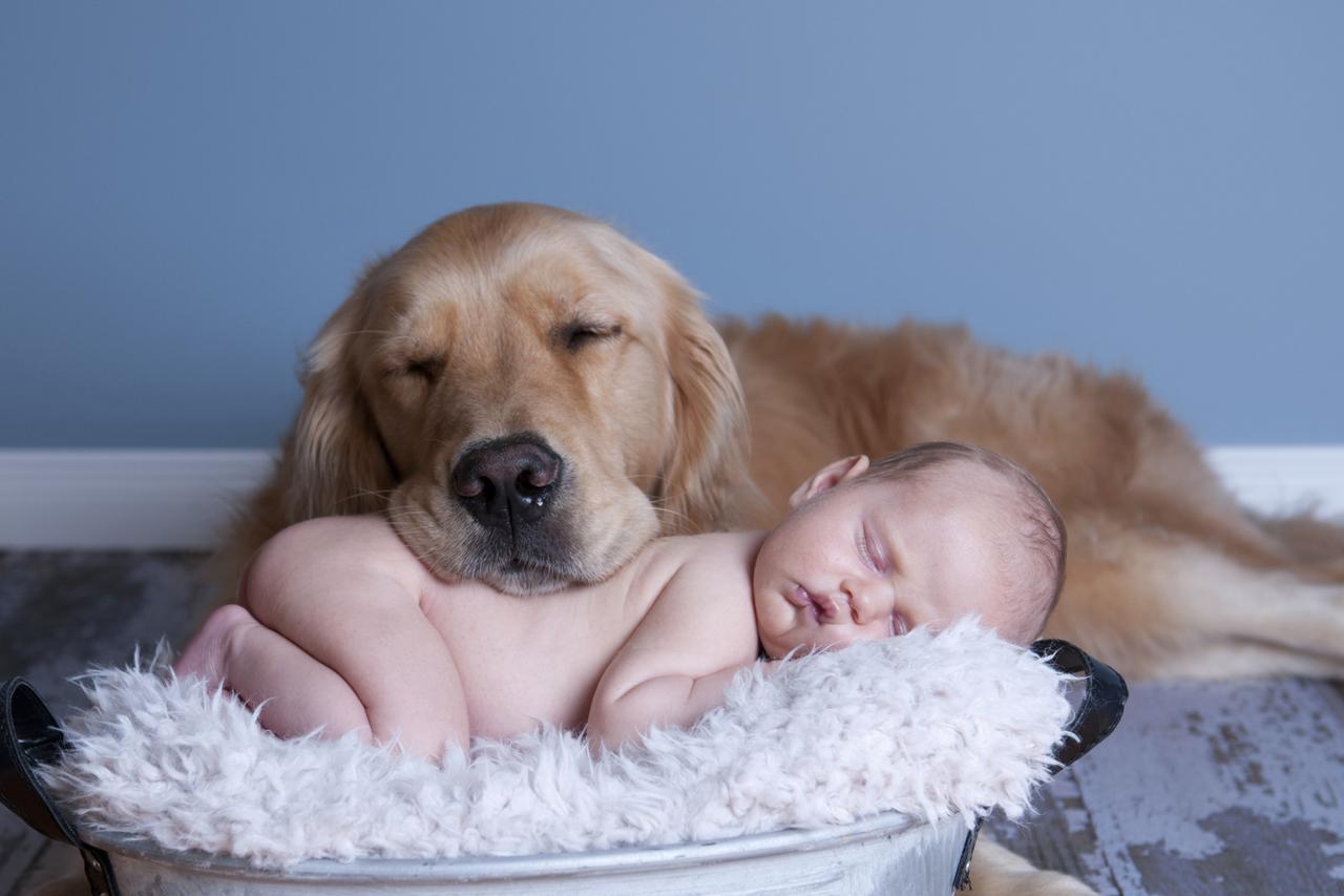 Dog and Baby Nap Together