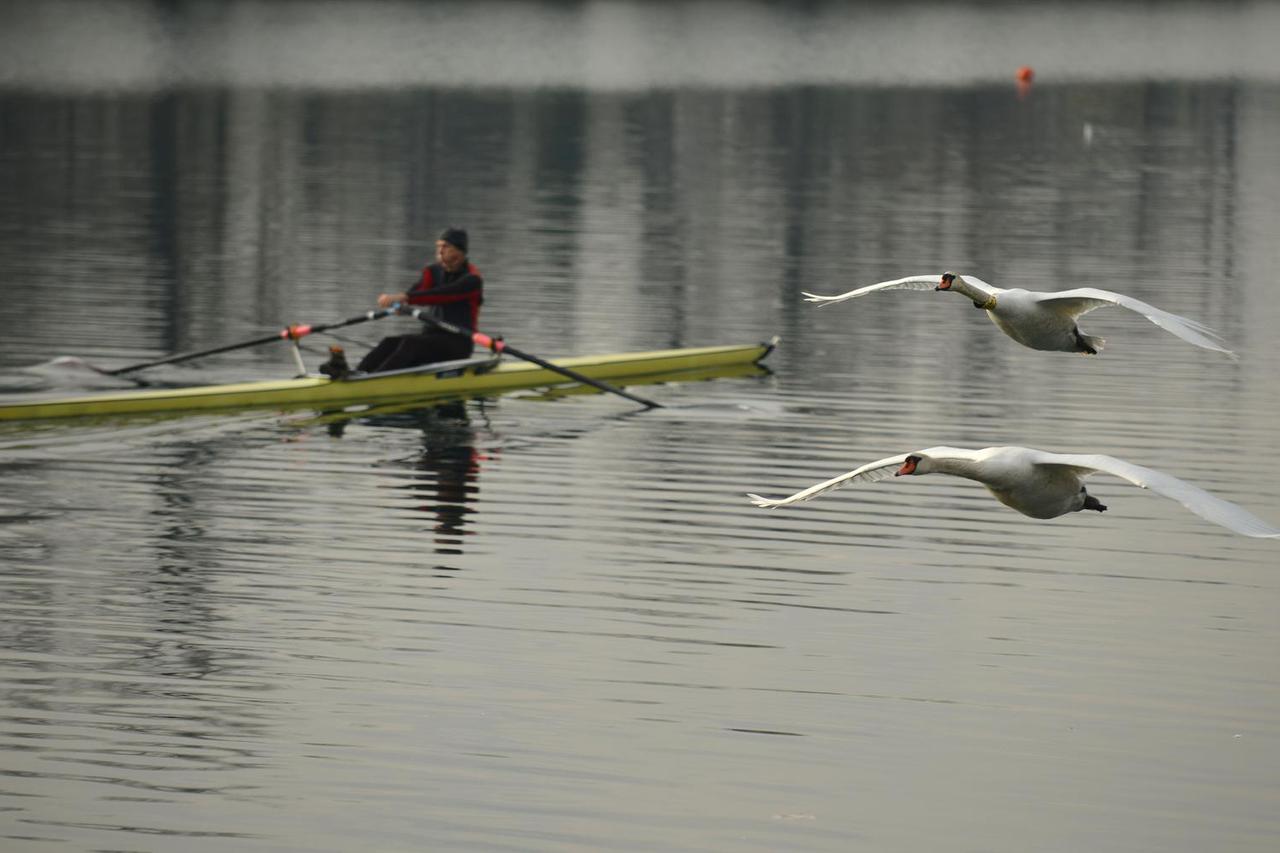 Zagreb: Zimski dan na Jarunu