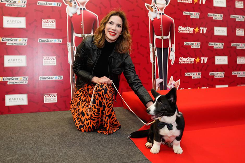 Korgi: Kraljevski pas velikog srca