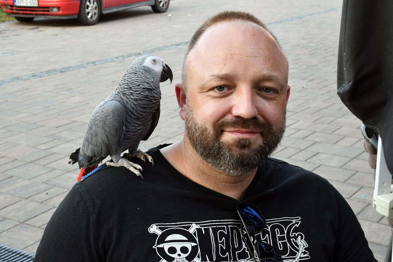 Slavonski Brod: Papagaj Žak vlasnika Zlatka Dujmića hit je na društvenim mrežama