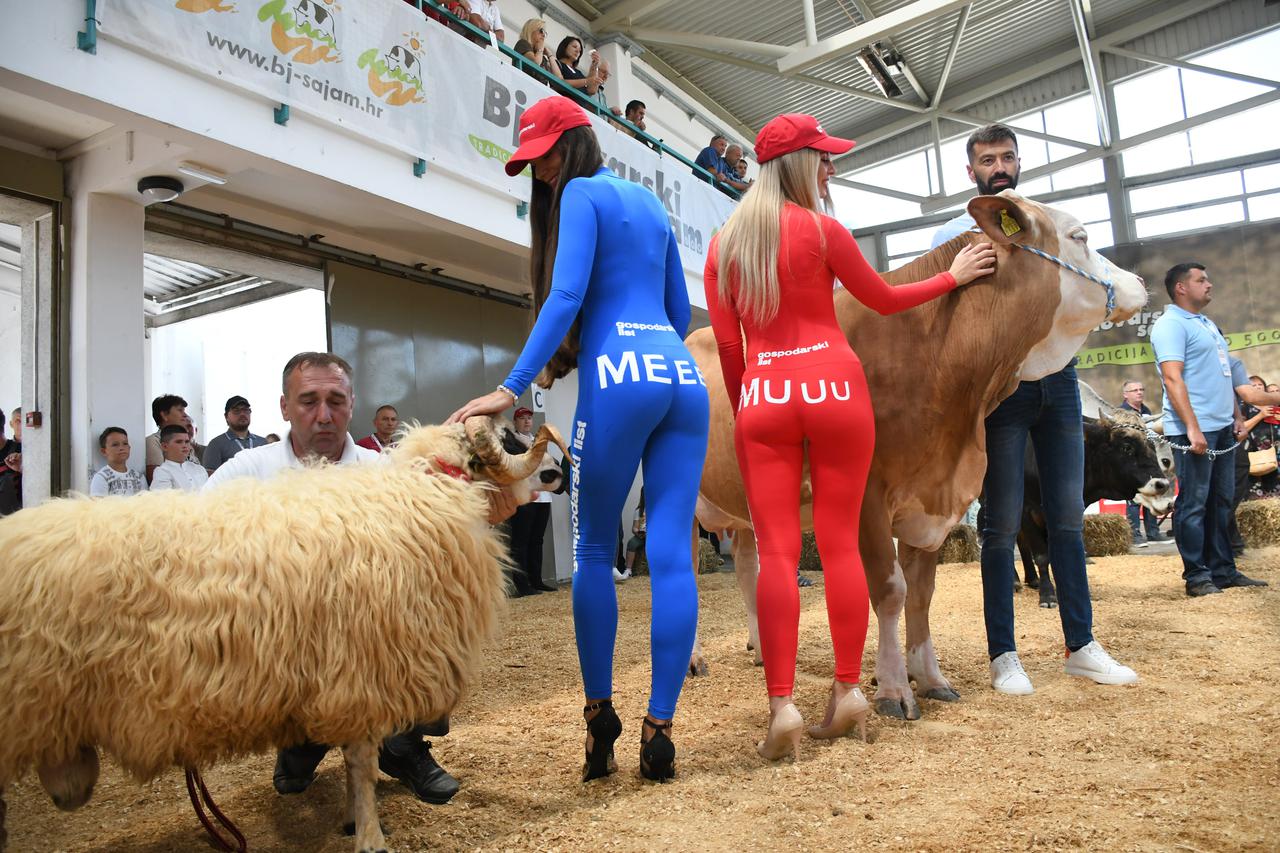 Atraktivne Muuu i Meee apsolutna senzacija 30. Jesenskog međunarodnog bjelovarskog sajma