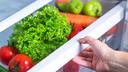 One Kitchen Ingredient Can Keep Salad Fresh for Almost Two Weeks
