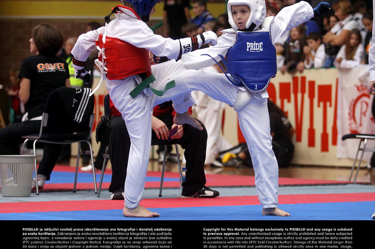 taekwondo,portal