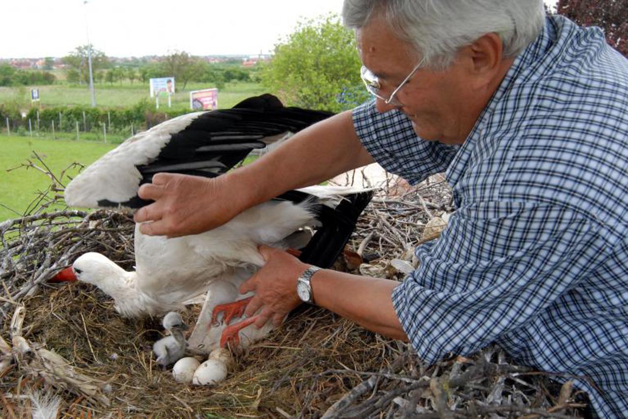 Klepetan i Malena (1)