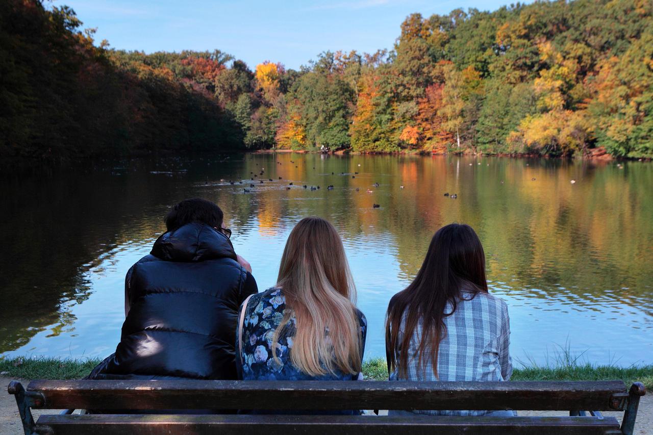 Maksimir