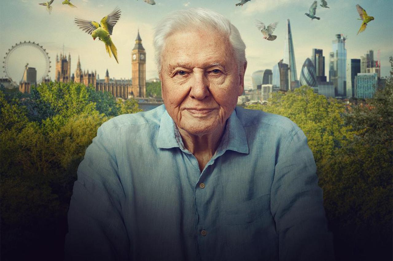 David Attenborough