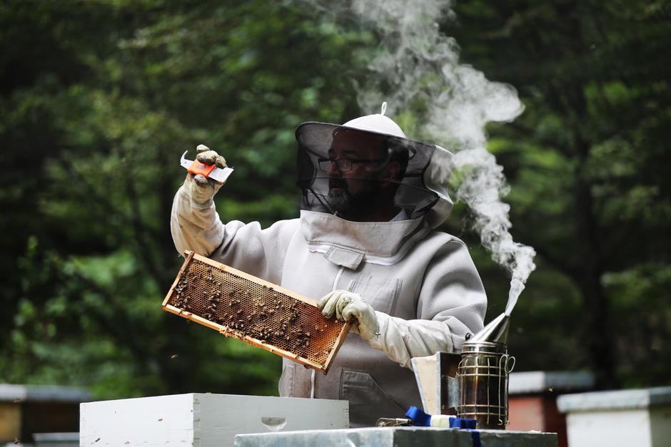 Vrbovsko: Pčelarstvo Burić OPG Medonja