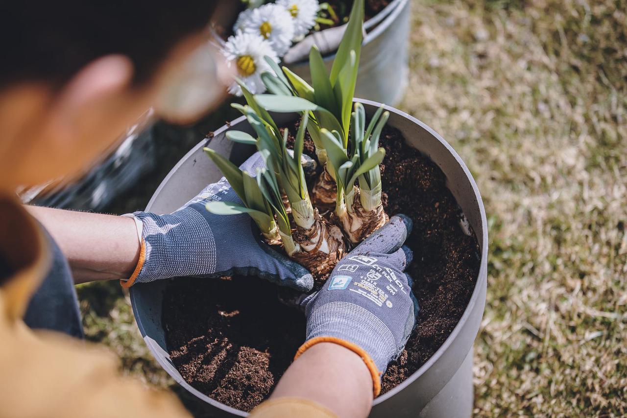 THEMENBILD, Gartenpflege