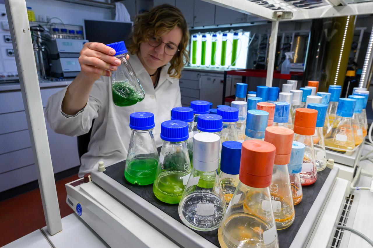 Funding for algae research