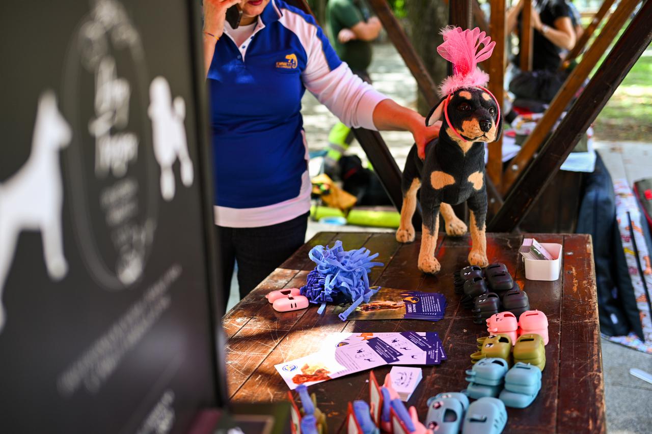 Zagreb: Počela je manifestacija pod nazivom "Dan šapica“