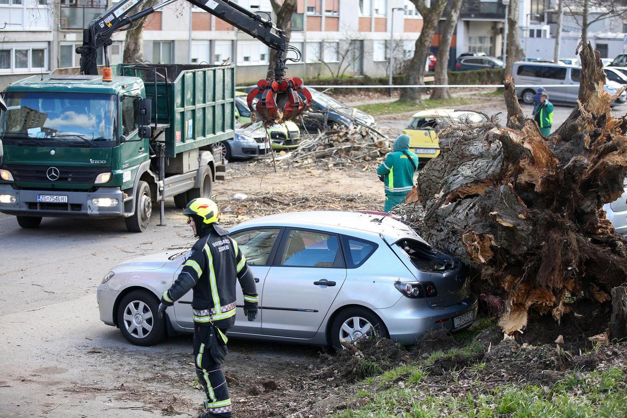 Zagreb: Vjetar srušio stablo jablana, oštećeno više automobila