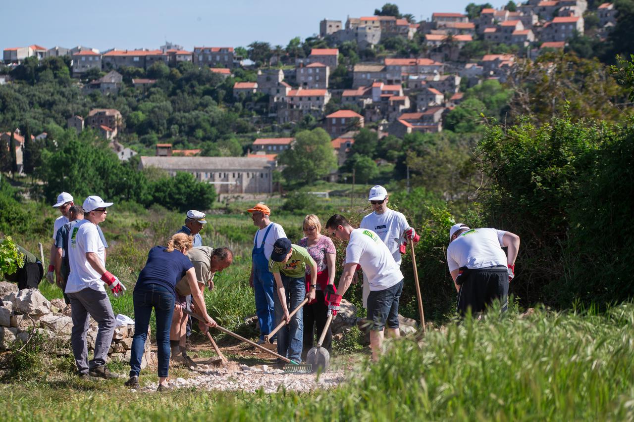 PROJEKT ZELENI POJAS