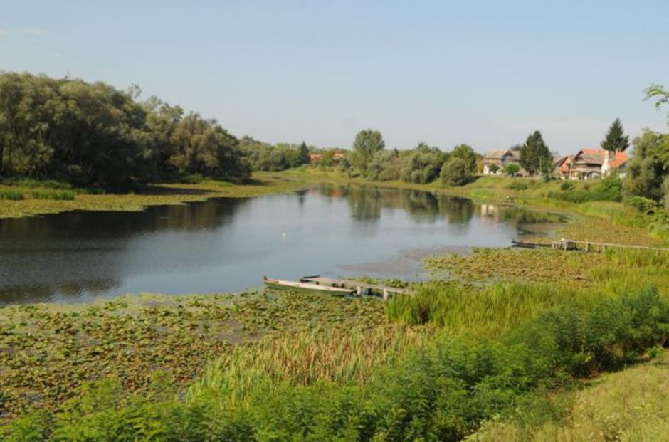 Sisak