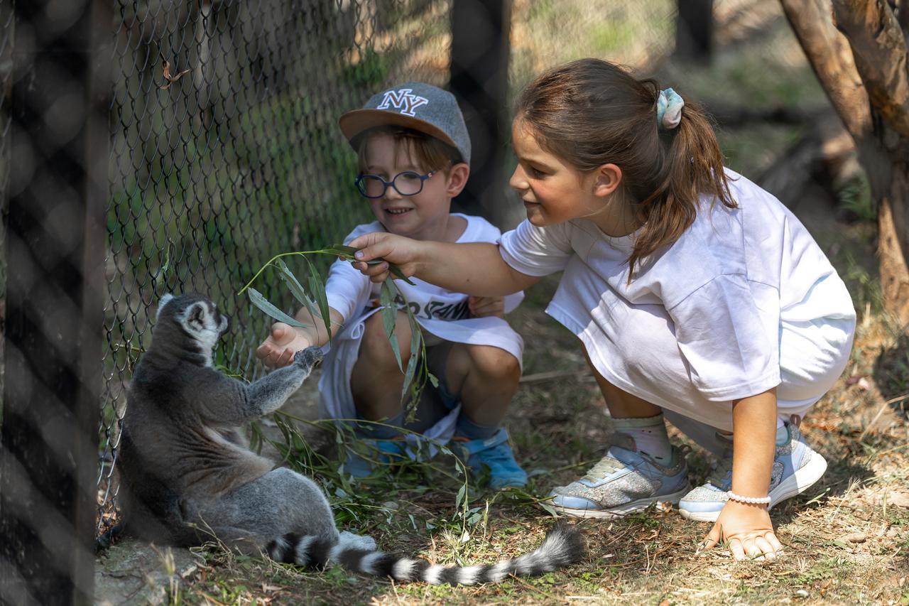 Osječki ZOO vrt ima program za djecu pod nazivom "Jedan dan timaritelj"