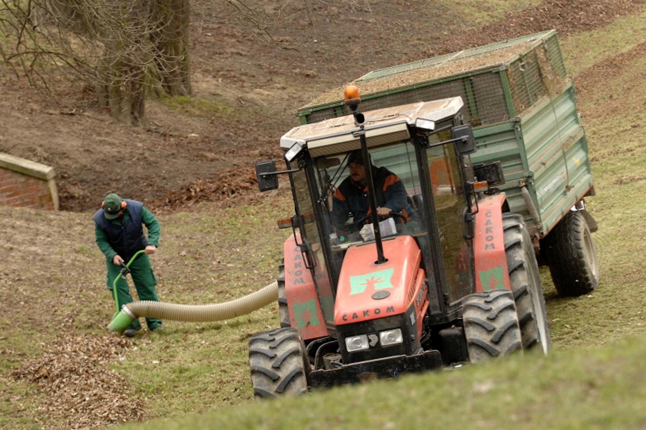 '31.01.2011., Cakovec- Radnici CAKOM-a ciste lisce u perivoju Zrinskih. Photo: Vjeran Zganec-Rogulja/PIXSELL'