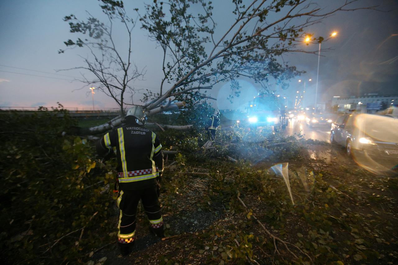 Zagreb: Vatrogasci uklonili drvo koje je olujni vjetar srušio na Av. Većeslava Holjevca