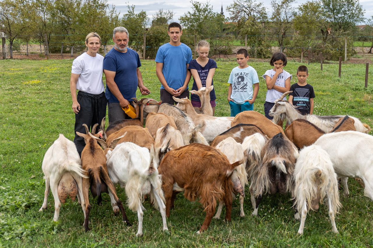 Komletinci: OPG Tatjana Lovrić Jovanović