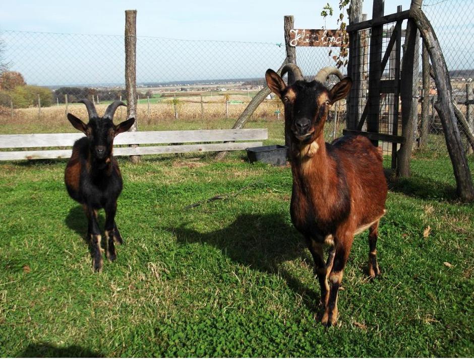Seljačko domaćinstvo i izletište Jastrebov vrh