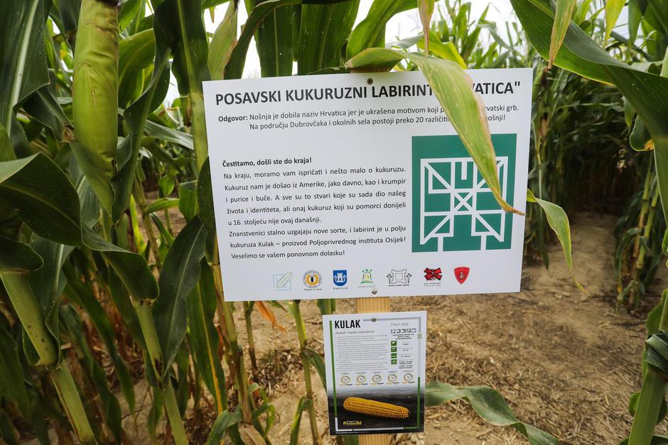 Kod Ivanić-Grada otvoren je prvi posavski kukuruzni labirint “Hrvatica”