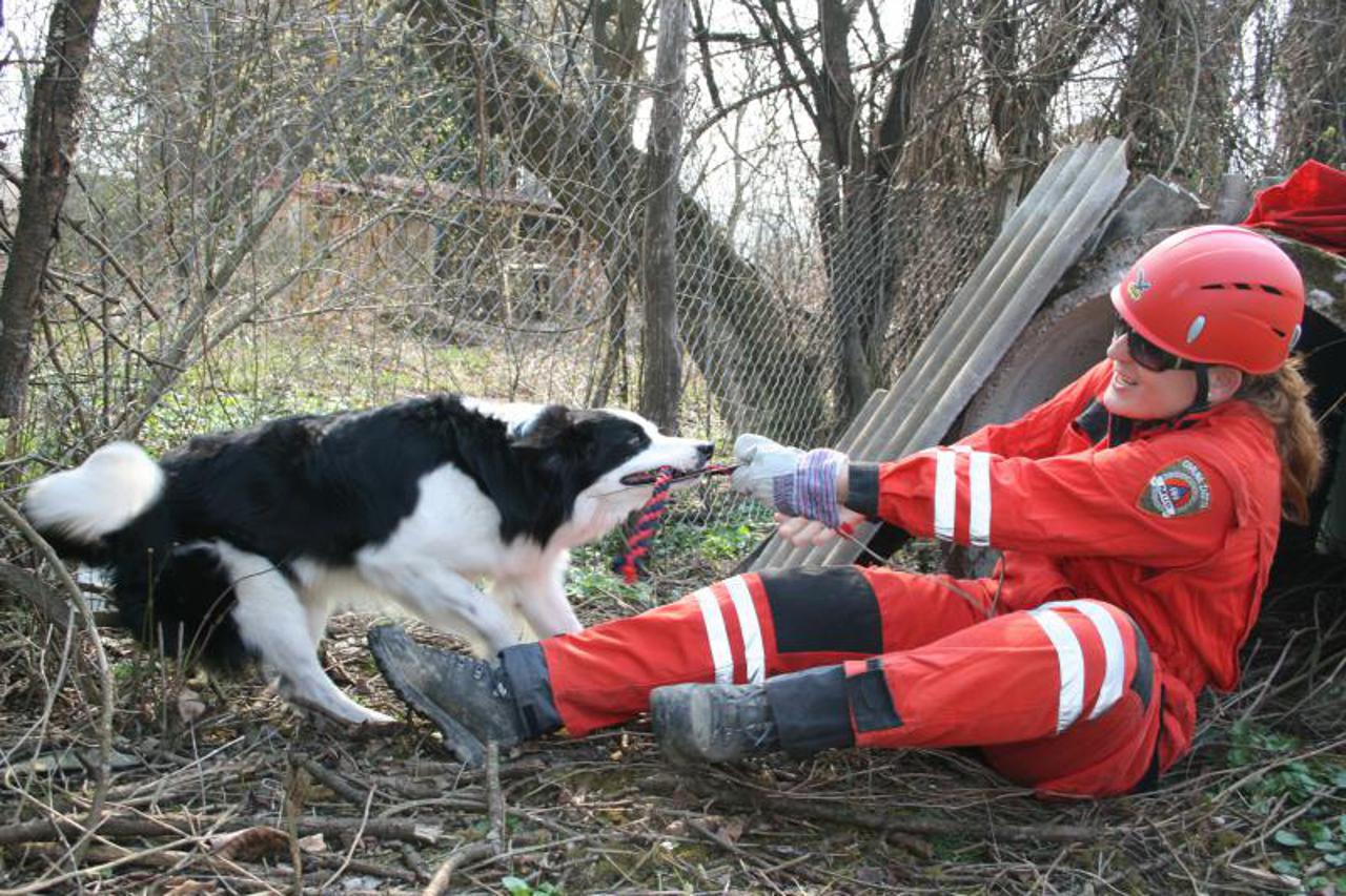 pokazna vježba,psi,spašavanje,akcija spašavanja,psi spasitelji (1)
