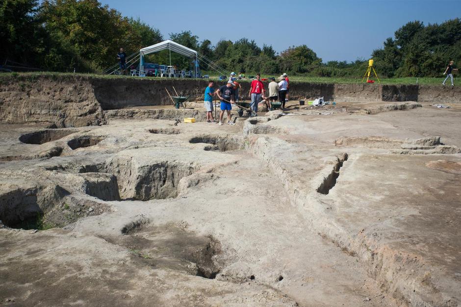 Muzej vučedolske kulture