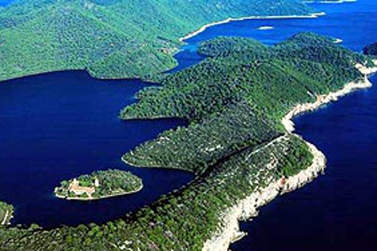 dal-mljet-txt.jpg