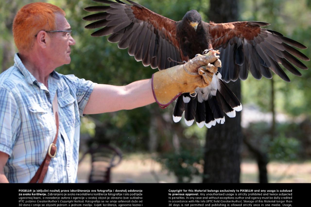 '20.07.2013., Sibenik - Emilio Mendjusic, vlasnik Sokolarskog centra i jedine bolnice u Hrvatskoj i sire za ptice grabezljivice.  Photo: Dalibor Urukalovic/PIXSELL'