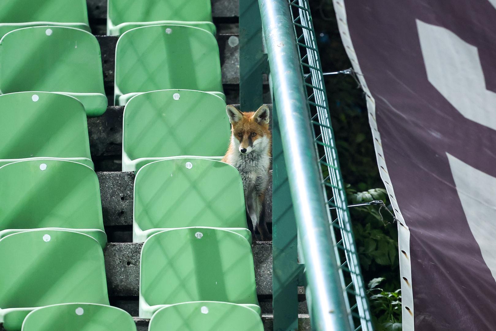 'Zmajevi' su danas odradili trening na stadionu Koševo, domu FK Sarajeva.