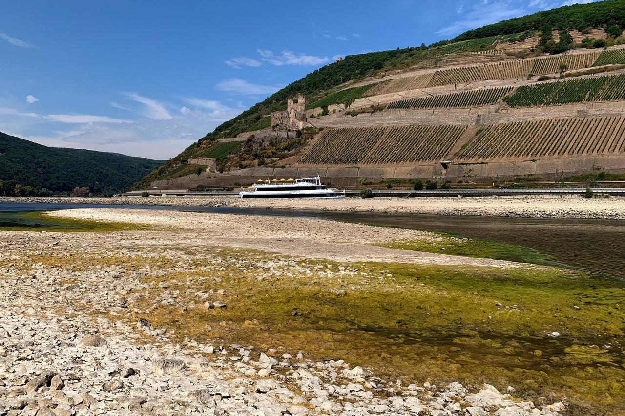 FILE PHOTO: Drought means low water levels in Rhine and a headache for international shipping