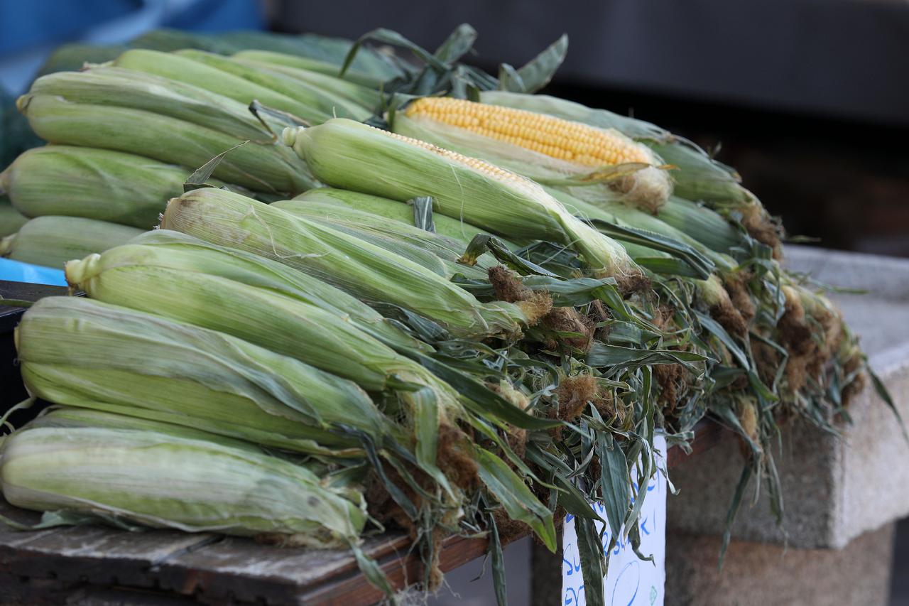 Zagreb: Zapuštena tržnica Branimir